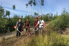 Brushing-crew-scaled