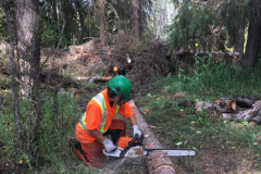 ChainsawTraining2-scaled