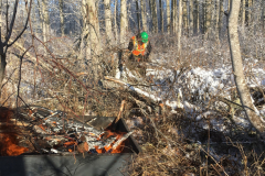 Private_Land_Biochar_Production-scaled