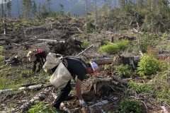 Taylor_Brennan_TreePlanting-scaled