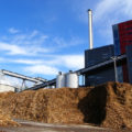 Burning biomass in power plants pushes up carbon dioxide emissions 16%