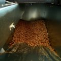 Suspend approvals of new wood pellet mills in BC, environmental groups and union urge government