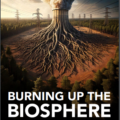 Burning Up the Biosphere